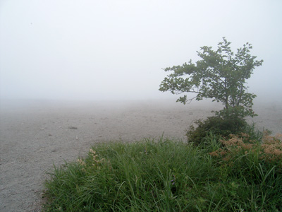 霧の小沼湖畔