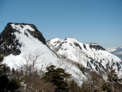 裏山も雪たくさん